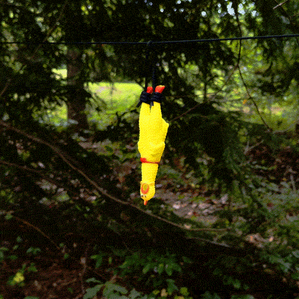 SimpleShot Shrilling Chicken target spinning after a hit