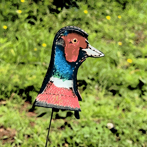SimpleShot Cocky Wobbler spring-loaded pheasant target in motion
