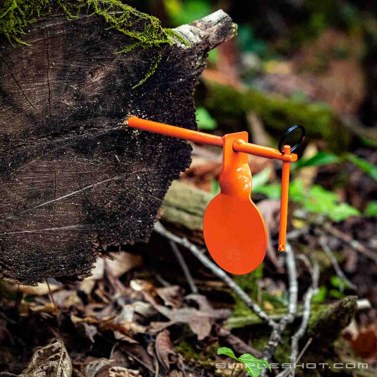 Tree Spinner Target, single orange spinner screwed into a log