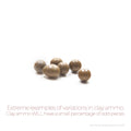 Clay Slingshot Ammo, a few odd-shaped clay balls showing normal size and shape variation